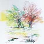 croquis
