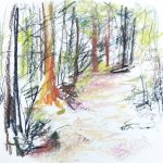 croquis