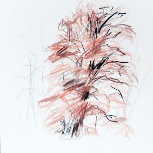 dessin arbre