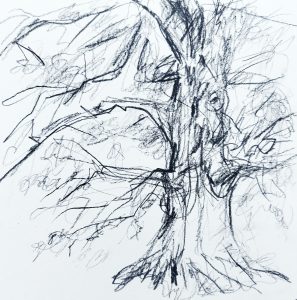 dessin arbre