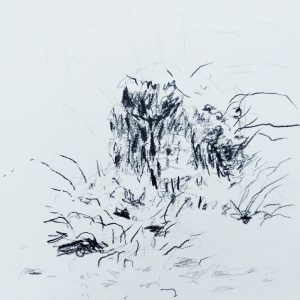 dessin arbre