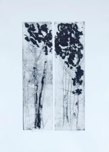 gravure arbre
