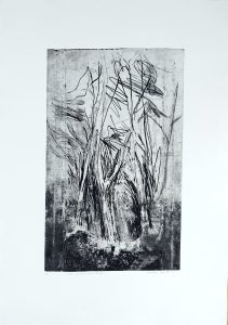 gravure arbre