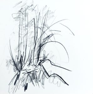 dessin arbre