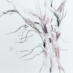 dessin arbre